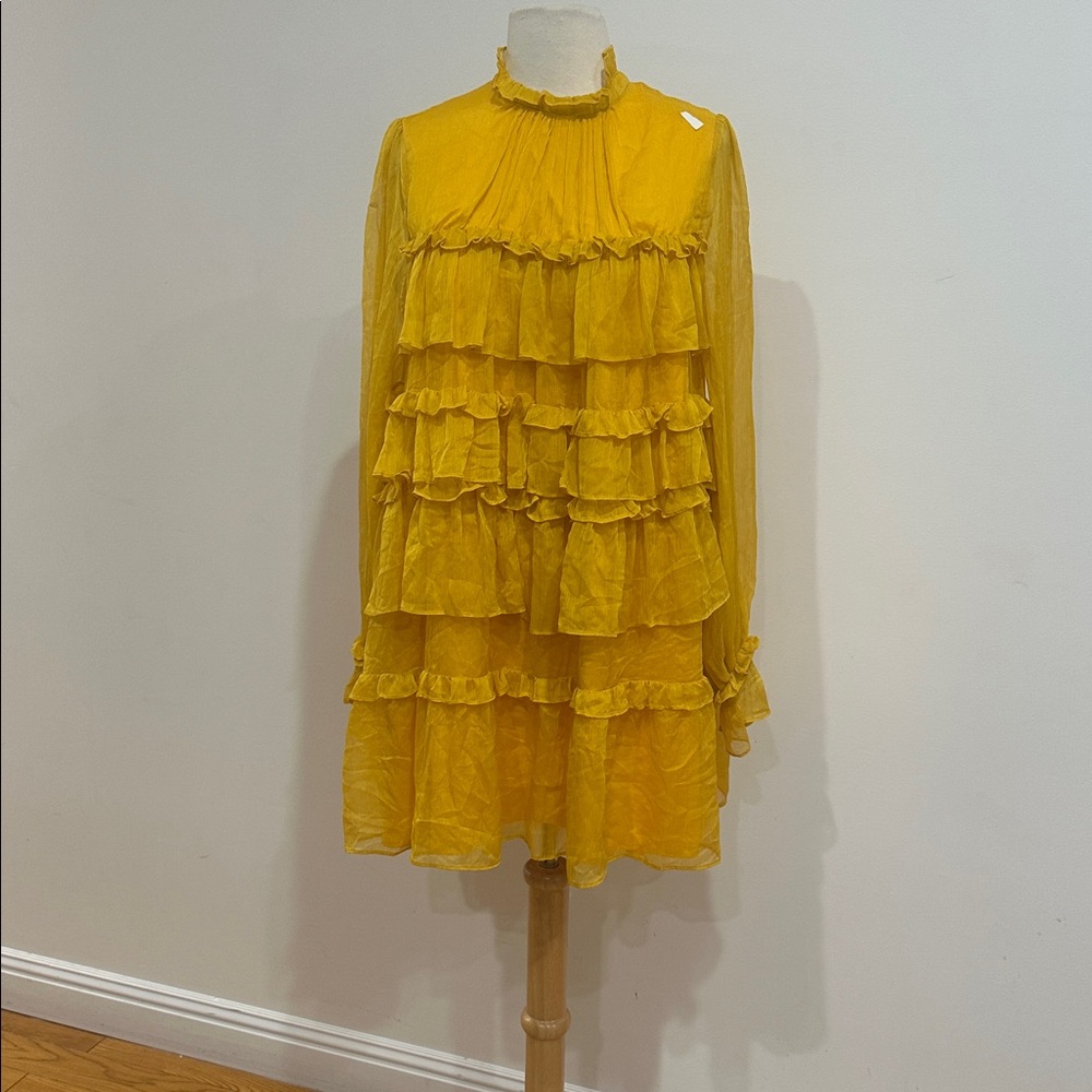 Adam Lippes x RTR Tiered ruffle dress size: 6 - Picture 5 of 11